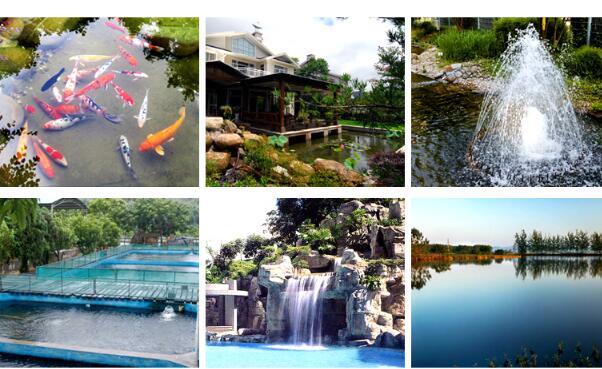 輸送高粘度泵采用哪些泵實(shí)際效果